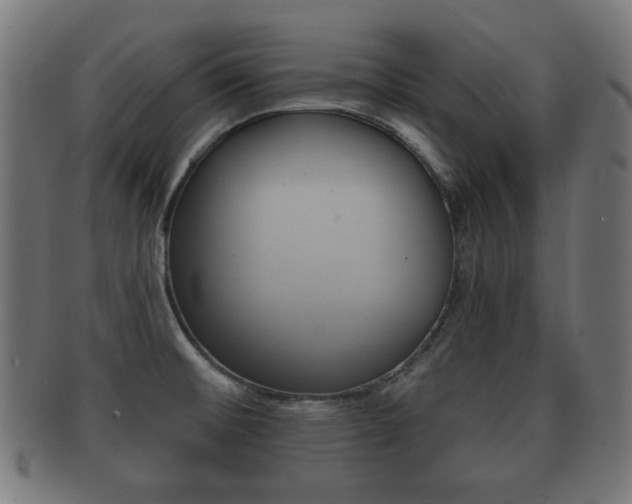X0000091911476200709051201