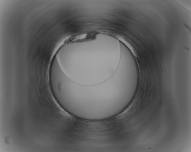 X0000091911477200709051201