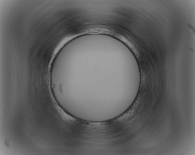 X0000091911478200709051201