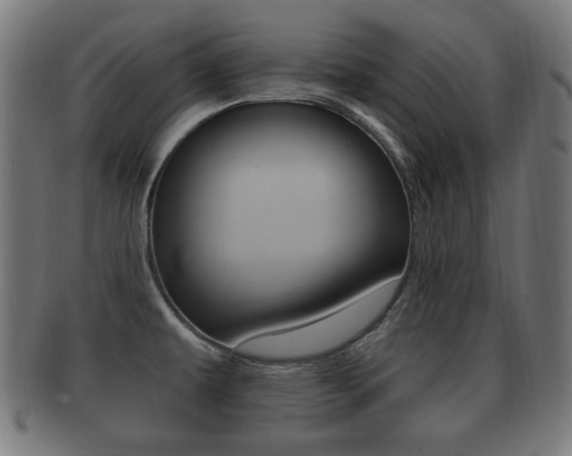 X0000091911479200709051201