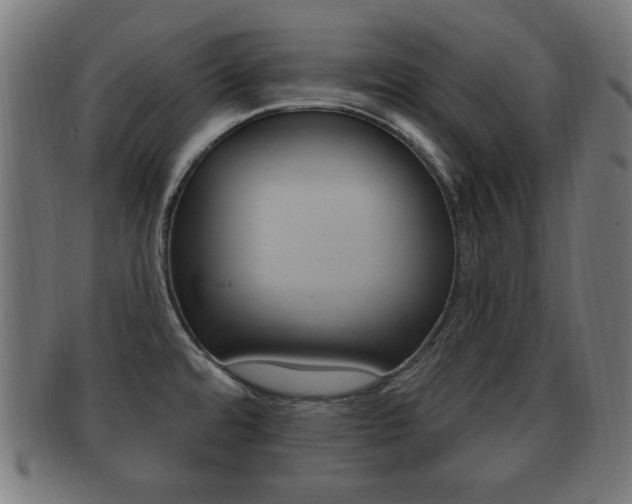 X0000091911480200709051201
