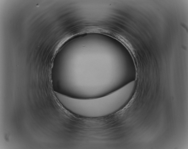X0000091911481200709051201