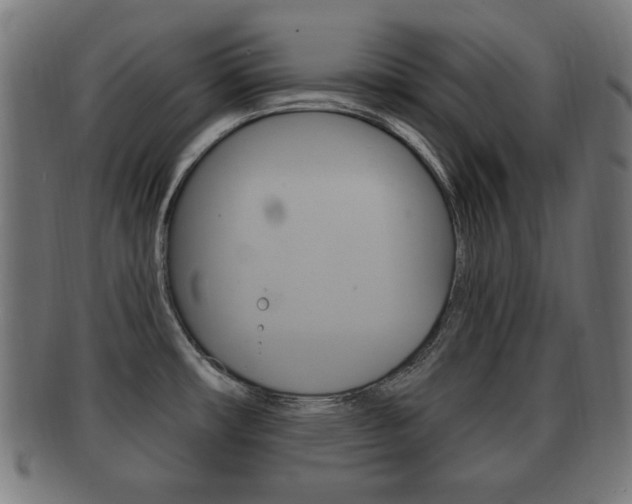 X0000091911482200709051201