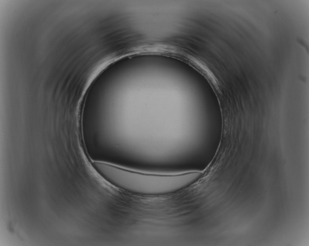 X0000091911483200709051201