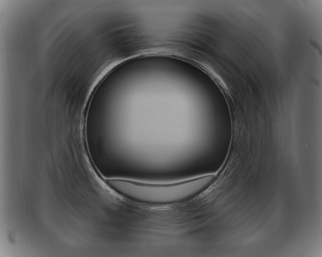 X0000091911484200709051201