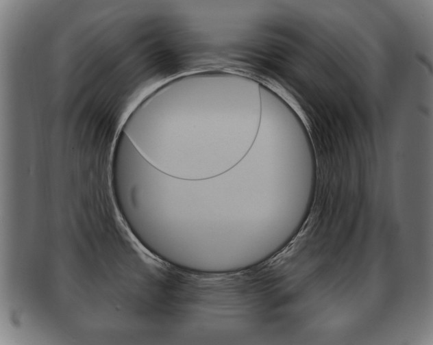 X0000091911485200709051201