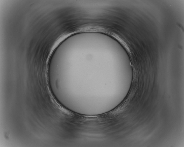 X0000091911486200709051201