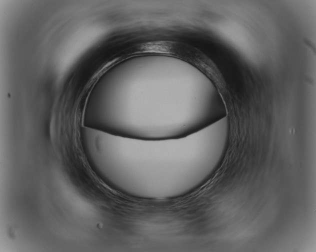 X0000091911487200709051201