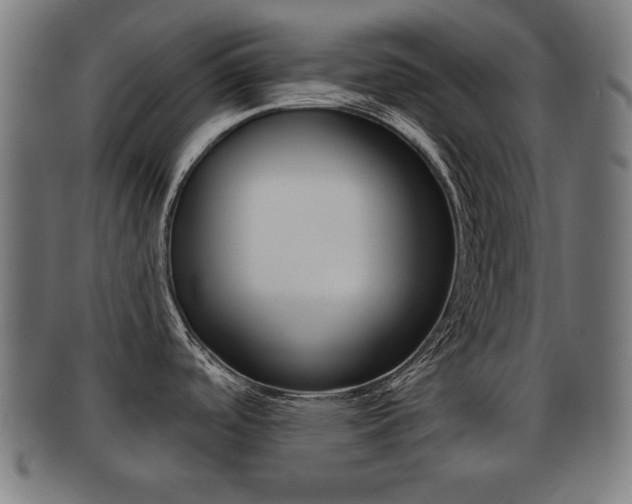 X0000091911488200709051201