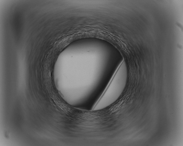 X0000091911489200709051201