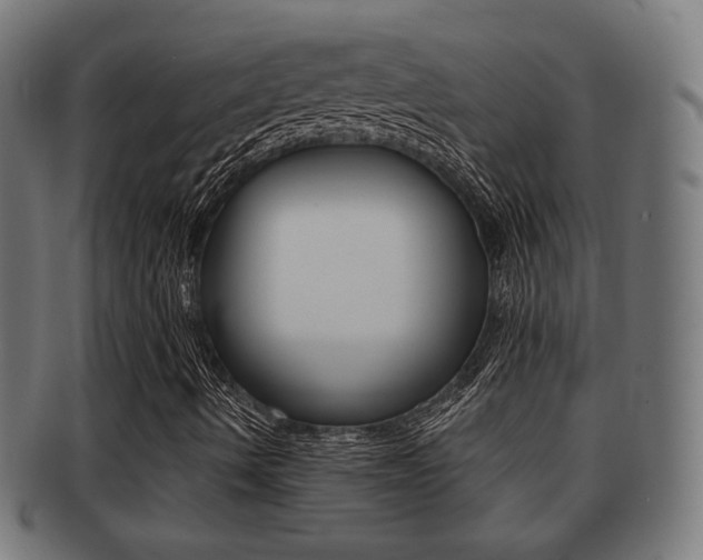 X0000091911490200709051201