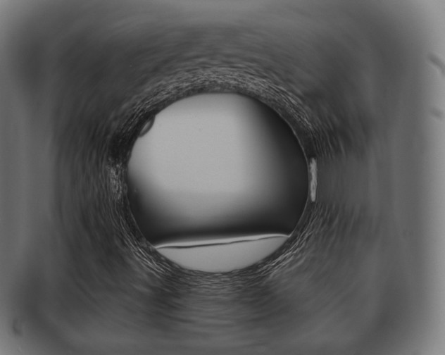 X0000091911491200709051201