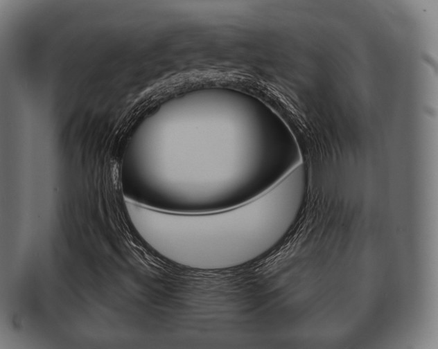 X0000091911492200709051201