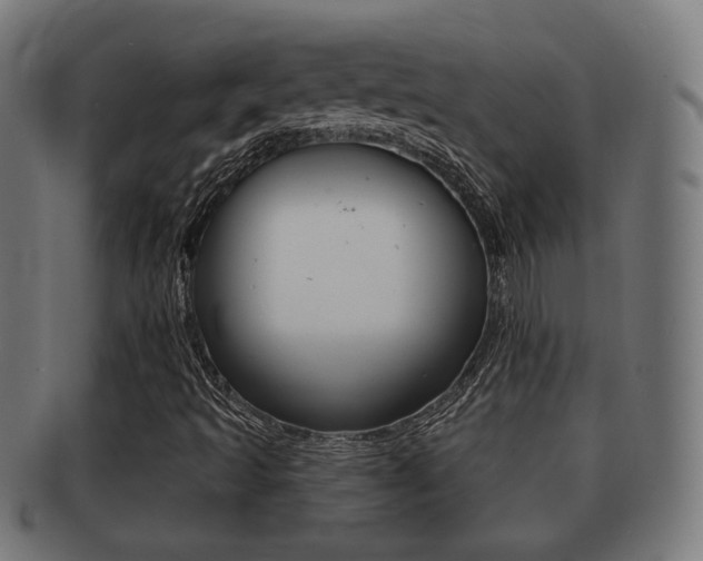 X0000091911493200709051201