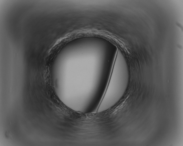 X0000091911494200709051201