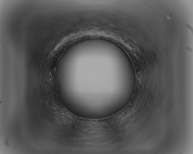 X0000091911495200709051201