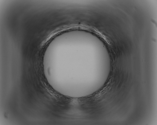X0000091911496200709051201
