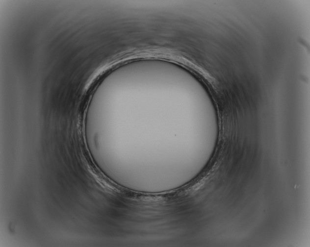 X0000091911498200709051201