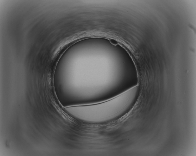 X0000091911499200709051201