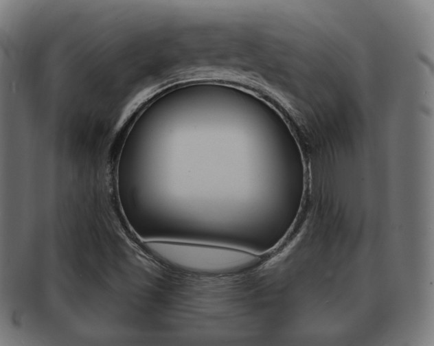 X0000091911501200709051201