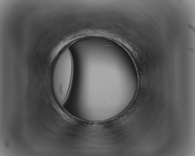 X0000091911503200709051201