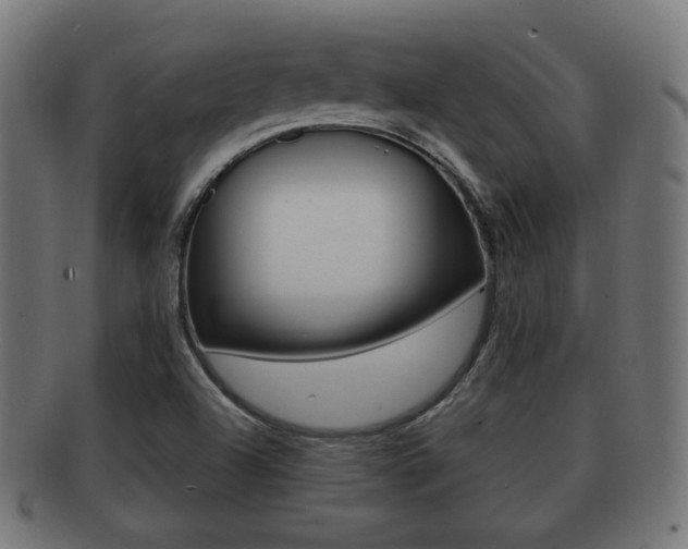 X0000091911504200709051201