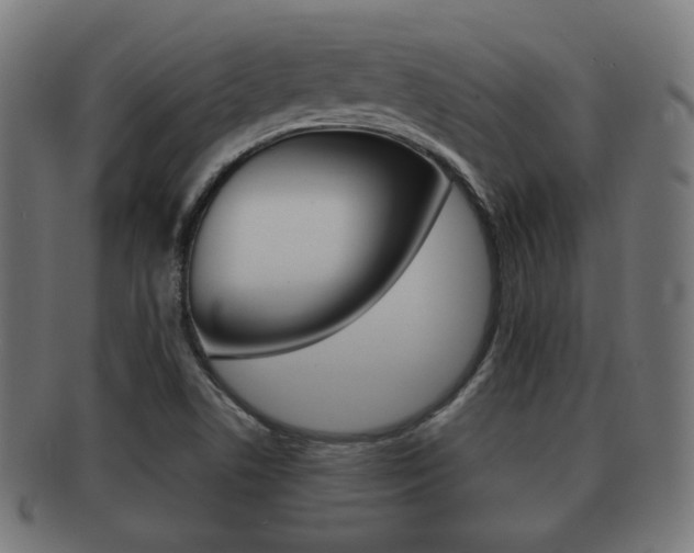 X0000091911506200709051201