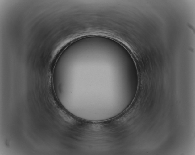 X0000091911507200709051201