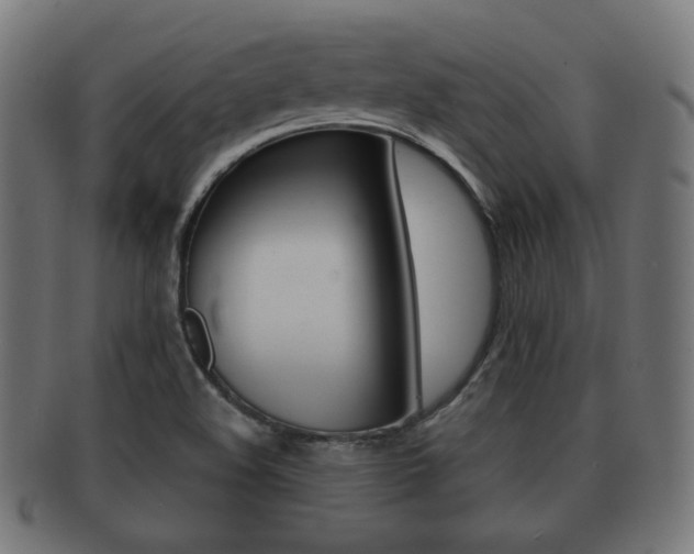 X0000091911508200709051201