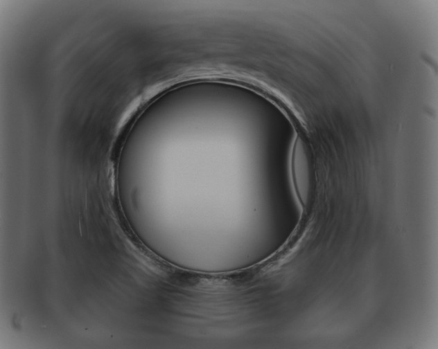 X0000091911509200709051201