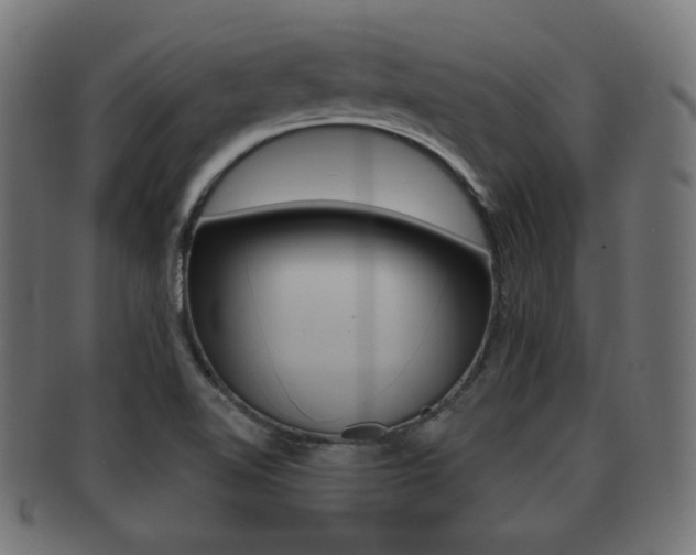 X0000091911510200709051201