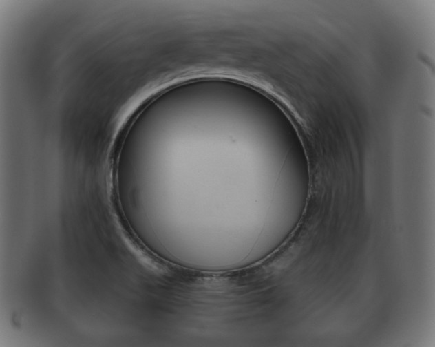 X0000091911511200709051201
