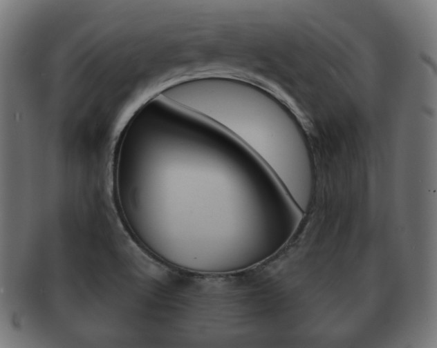 X0000091911512200709051201