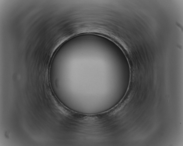 X0000091911513200709051201