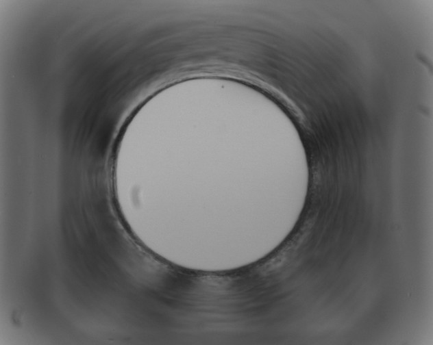 X0000091911514200709051201