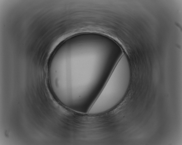 X0000091911515200709051201