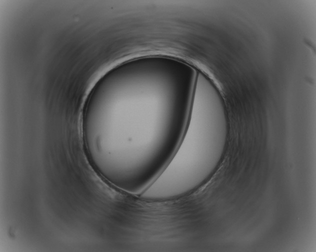 X0000091911516200709051201