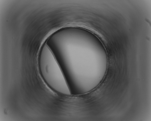 X0000091911517200709051201