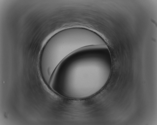 X0000091911518200709051201