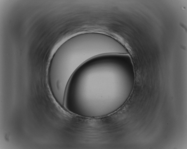 X0000091911520200709051201
