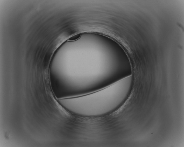 X0000091911521200709051201