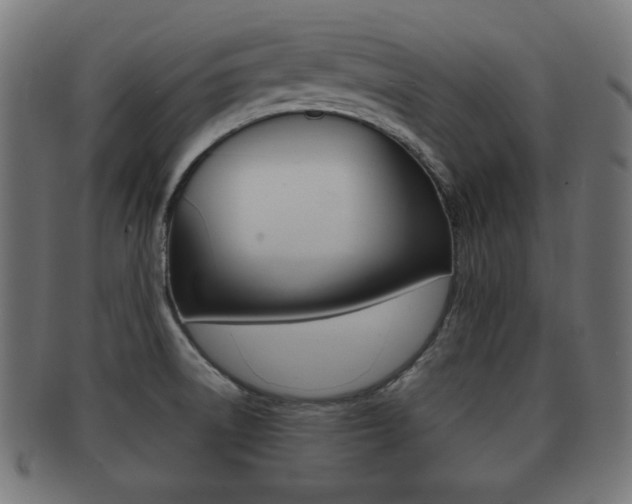 X0000091911522200709051201