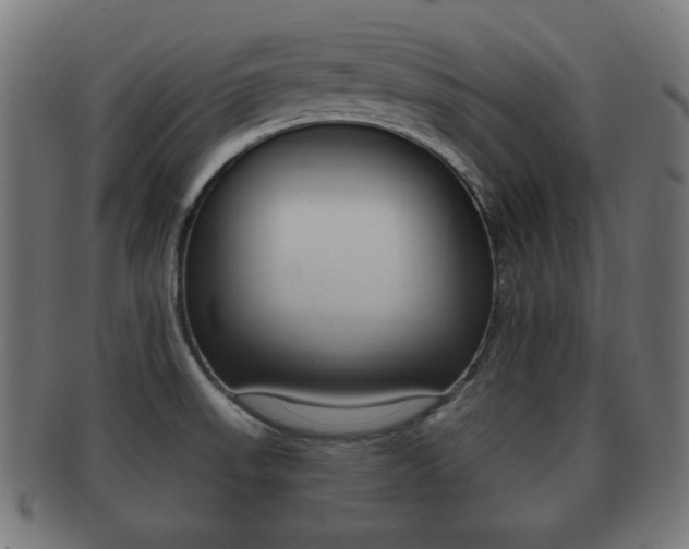 X0000091911523200709051201