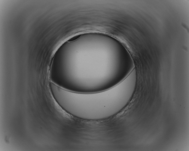 X0000091911524200709051201