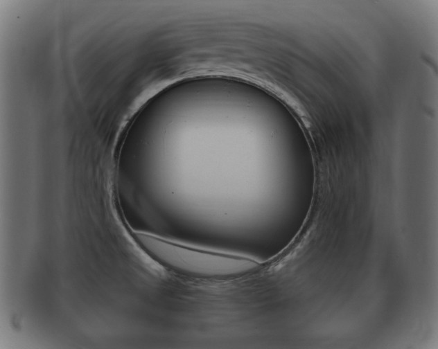 X0000091911525200709051201