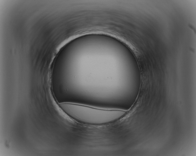 X0000091911526200709051201