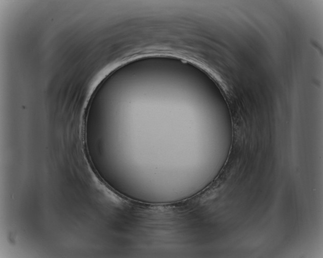 X0000091911527200709051201