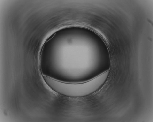 X0000091911528200709051201