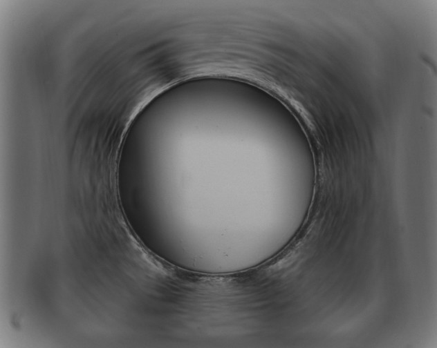X0000091911529200709051201