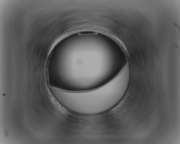 X0000091911530200709051201